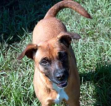 Photo of Darla