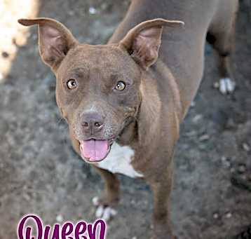 Photo of Queen