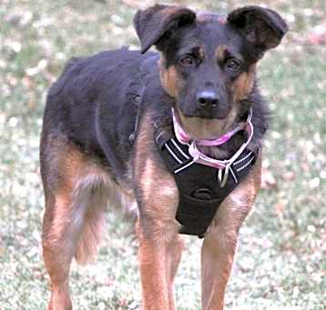 Photo of Stella Jane