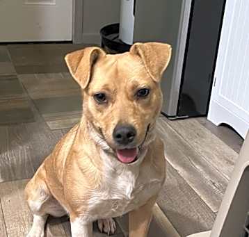 Photo of Rayne