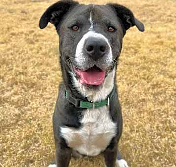 Photo of Duke 10-15-24