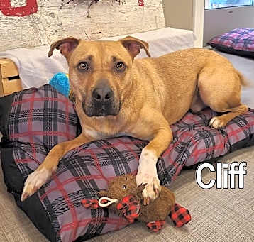 Photo of Cliff Yrly 360