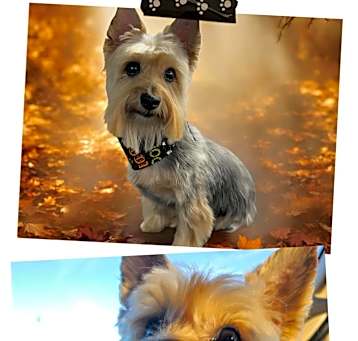 Photo of Happy