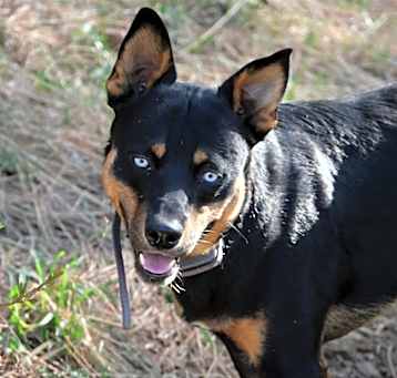 Photo of Stryker