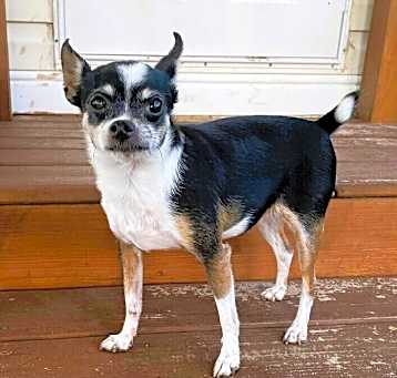 Photo of Zany - Bonded with Micro