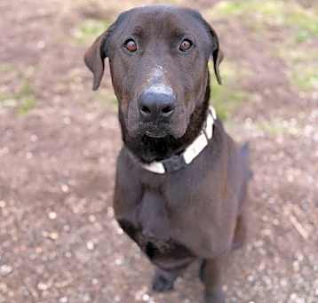 Photo of Malachi