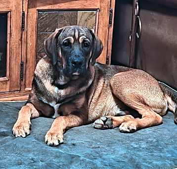 Photo of Luca