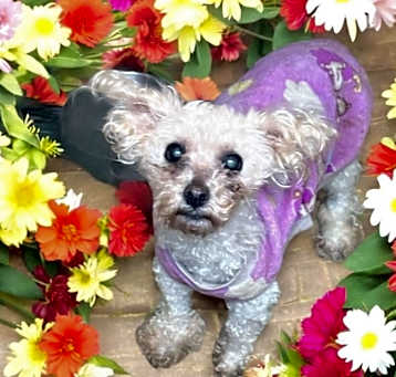 Photo of Olivia