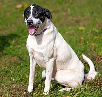 Photo of Gus Gus