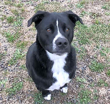 Photo of Bruce