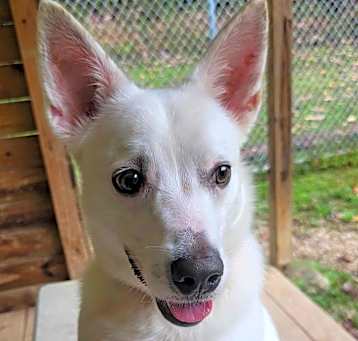 Photo of Astro