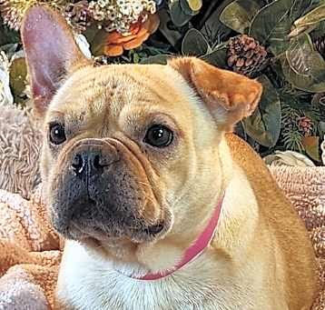 Photo of Marnie