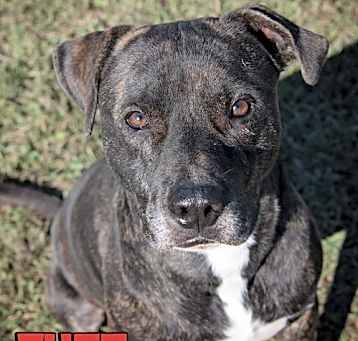 Photo of Tuff