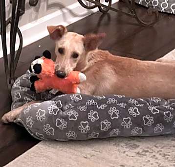 Photo of Rayne