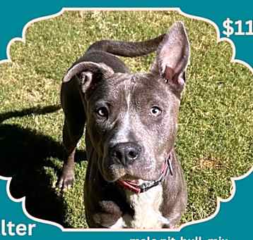 Photo of Walter