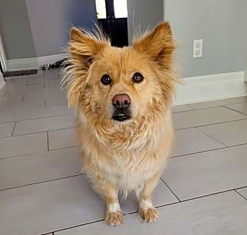 Photo of Coco
