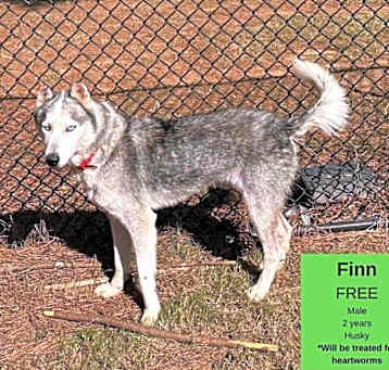 Photo of Finn