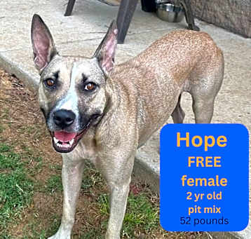 Photo of Hope