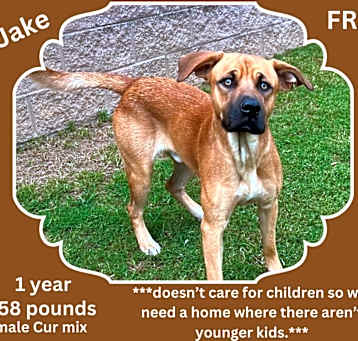 Photo of Jake