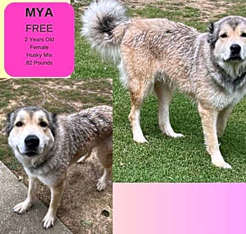 Photo of Mya