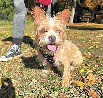 Photo of Buffy
