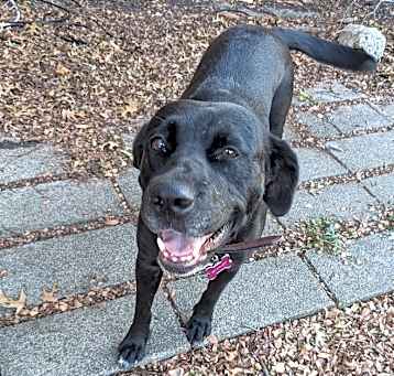 Photo of 24-101 Lolly
