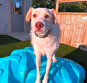Photo of Jeffrey