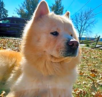 Photo of Wyatt