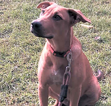 Photo of Jazzy