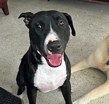 Photo of Jasper