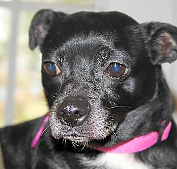 Photo of Barbie