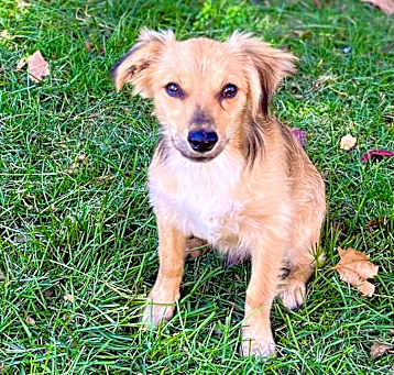 Photo of Cash!