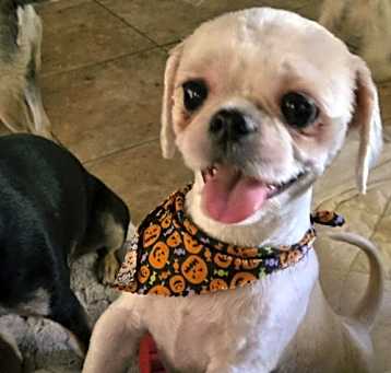 Photo of Hazel