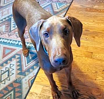 Photo of Axel