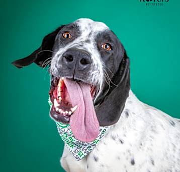 Photo of 86360 Amos