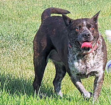 Photo of Olivia