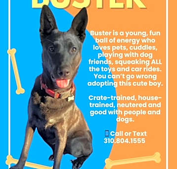 Photo of Buster