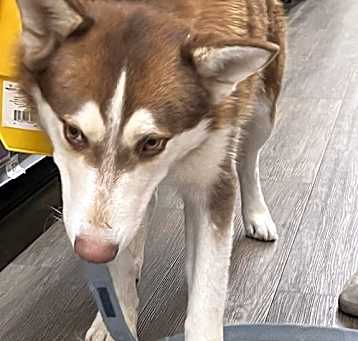 Photo of Oliver (Olly)