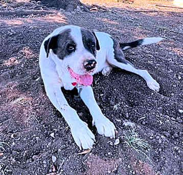 Photo of Big boy