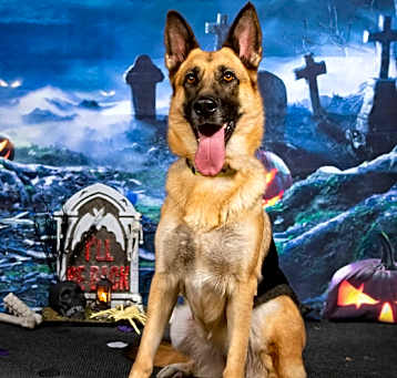 Photo of Hera