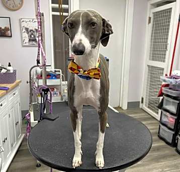 Photo of Vinnie