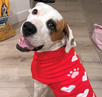 Photo of Jessie