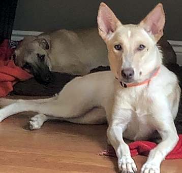 Photo of Luna