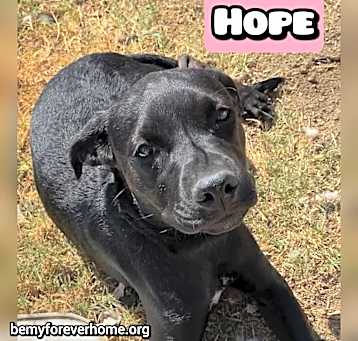 Photo of Hope