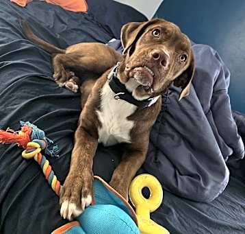 Photo of Twix