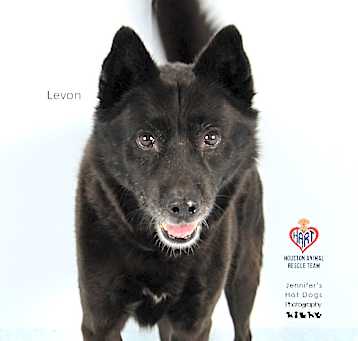 Photo of Levon