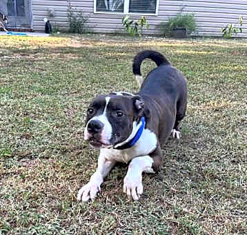Photo of Duke