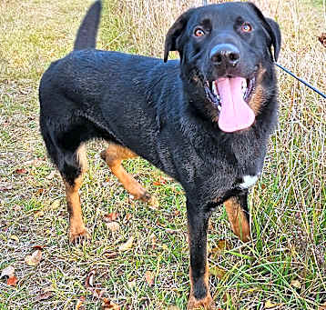 Photo of Clipper