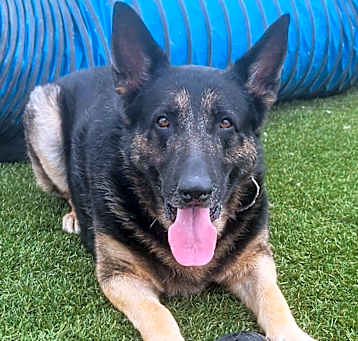 Photo of Diego