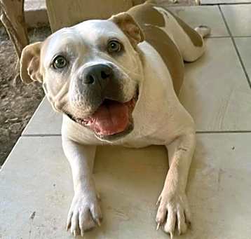 Photo of Fiona